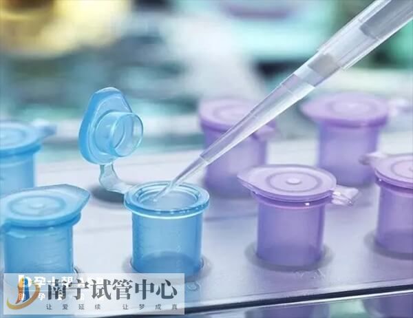 29岁做试管成功率多少