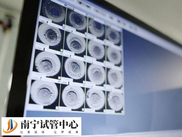 胚胎8细胞好还是9细胞好