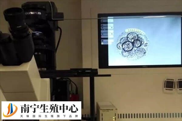三代试管婴儿流程是怎样的