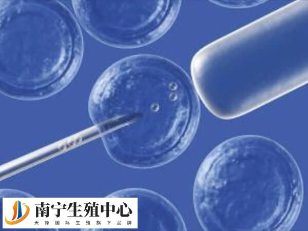 试管移植1个好还是2个好