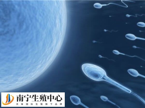 广西生殖医院做试管一般移植几次就能成功？